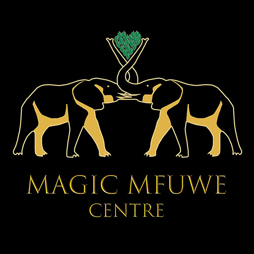 Magic Mfuwe Centre logo